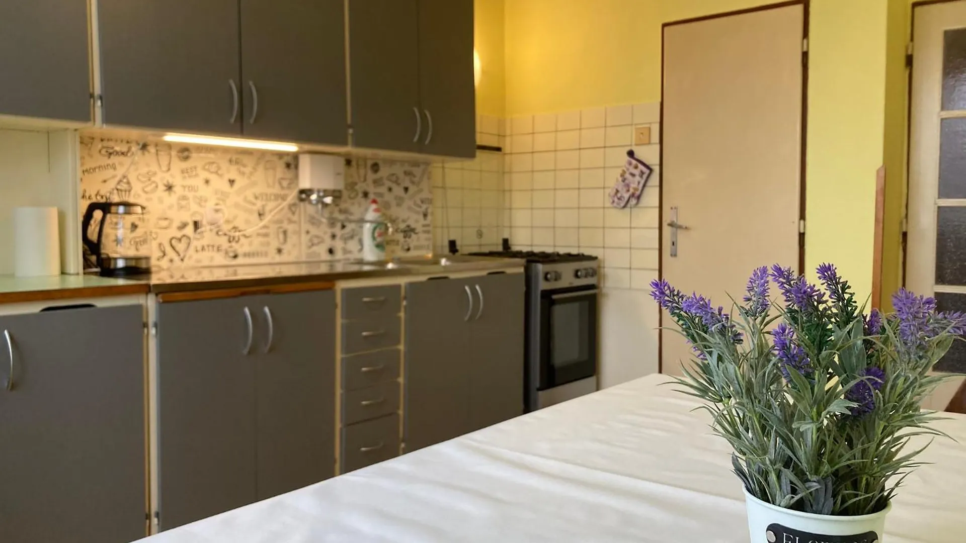 Apartmán Podkrovní byt - Na Slovance Praha